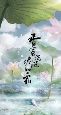 洗白记