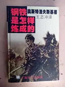 钢铁是怎样炼成的（学生读本）