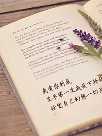 知否知否应是绿肥红瘦之缘若明兰