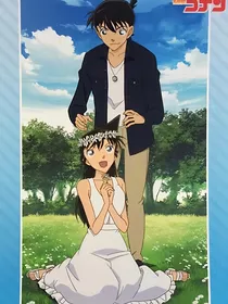 名侦探柯南之新兰甜蜜婚后
