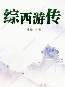 综西游传