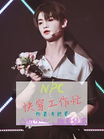 NPC：快穿工作忙