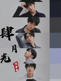 BTS：肆月光