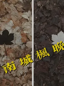 南城枫晚