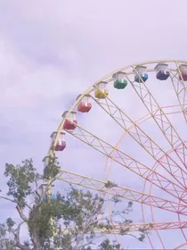 仅是喜欢你