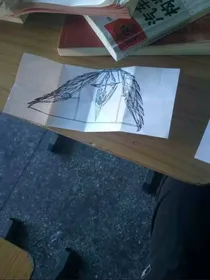 凡炼渡劫与圣龙天子