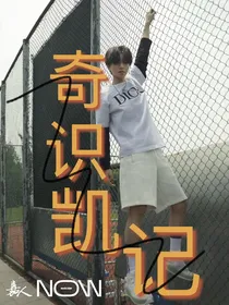 奇识凯记