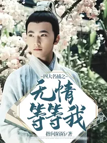 四大名捕之无情等等我