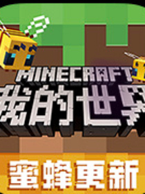 我的世界：游戏时间