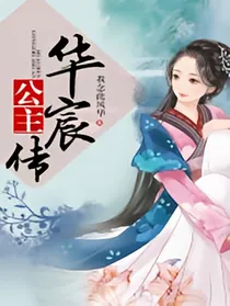 华宸公主传2