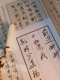 警察很诱人之你的使命