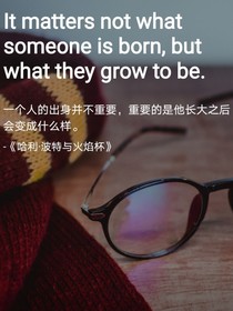 猫？还是波特？