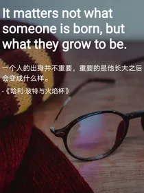 猫？还是波特？