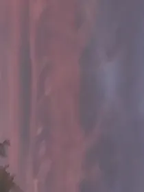 想给你一个未来