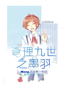 查理九世之墨羽！