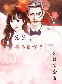先生，我不爱你了