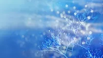 终极恶女之雨天的诺言