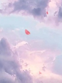 发图片集1