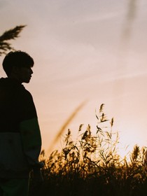 桃花开，人未圆