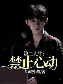 第二人生：禁止心动