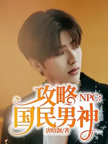 NPC：攻略国民男神