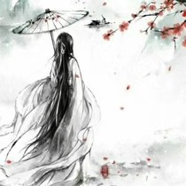 穿越护薛洋