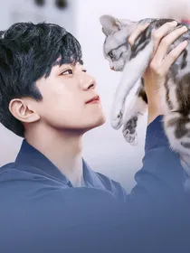 易大佬的猫