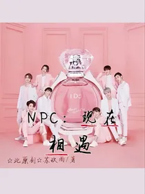 NPC：现在相遇