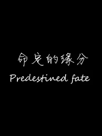 第五：命定的缘分