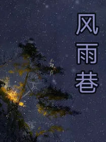 风雨巷