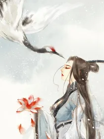 美图记录册