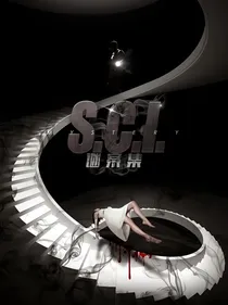 谜案集光