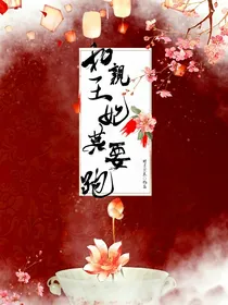 和亲王妃莫要跑