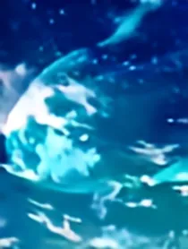 奥拉星之寂静之夜