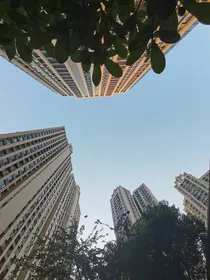 爱谁谁a