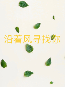 沿着风寻找你