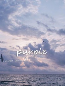 BTS：purple