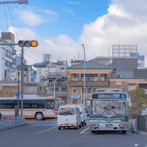 觅漫山鹤