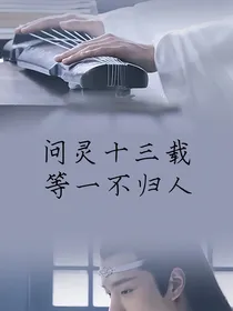 问灵十三载，等一不归人