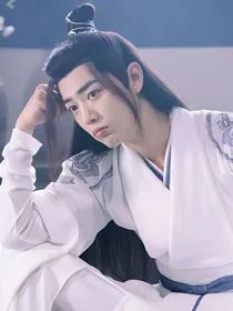 陈情令之含光君的鬼王道侣