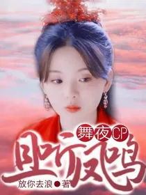 且听凤鸣：舞夜CP