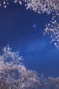 乱世儿女