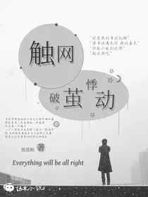 触网：破茧悸动