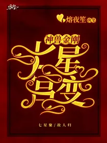 神兽金刚之七星宫变