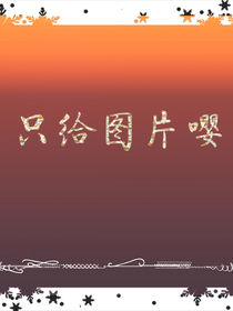 只给图片