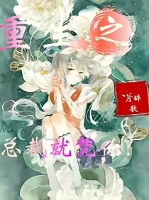 重生之总裁宠妻日常