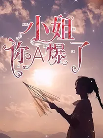 小姐你A爆了