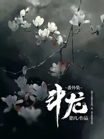 斗龙番外集