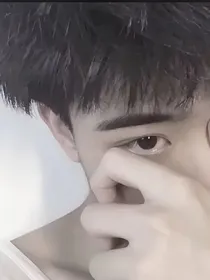 梧桐街头