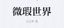 微瑕世界